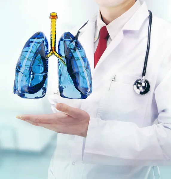 Médico con pulmones en las manos en un hospital — Foto de Stock