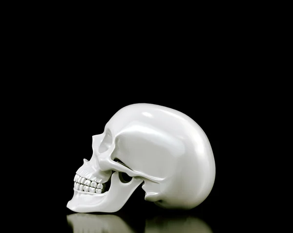 Crâne sur fond noir. — Photo