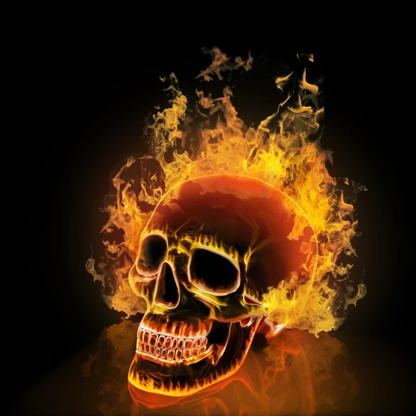 Skull on black background. — Stock Photo, Image