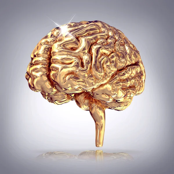 Golden brains on grey background. — Stock Photo, Image