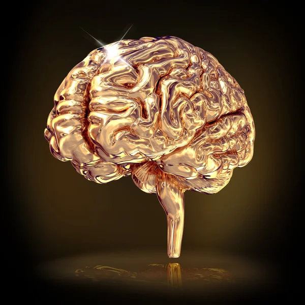 Gouden hersenen op zwarte achtergrond. — Stockfoto