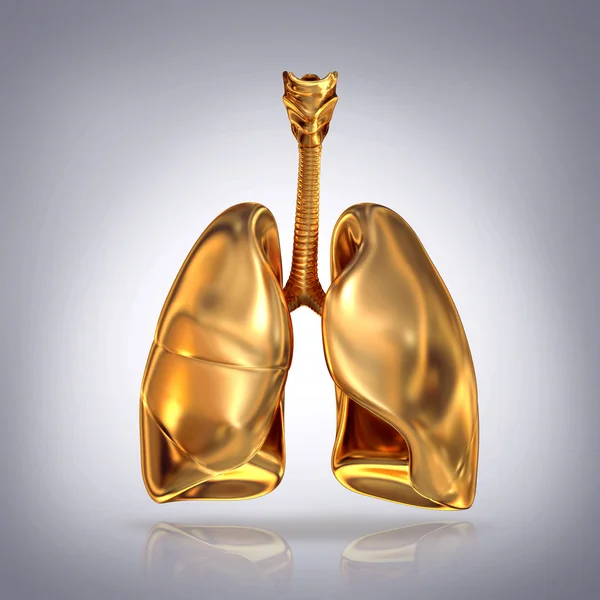 Pulmones dorados sobre fondo gris . —  Fotos de Stock