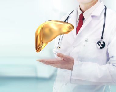 Doktor stetoskop ve bir hastanede ellerinde altın karaciğer ile