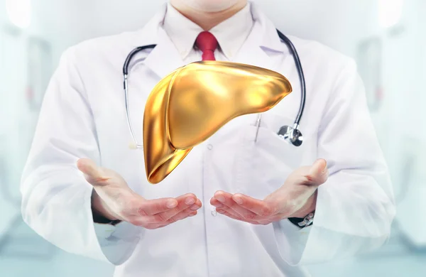 Läkare med stetoskop och golden lever på händerna på ett sjukhus Stockfoto
