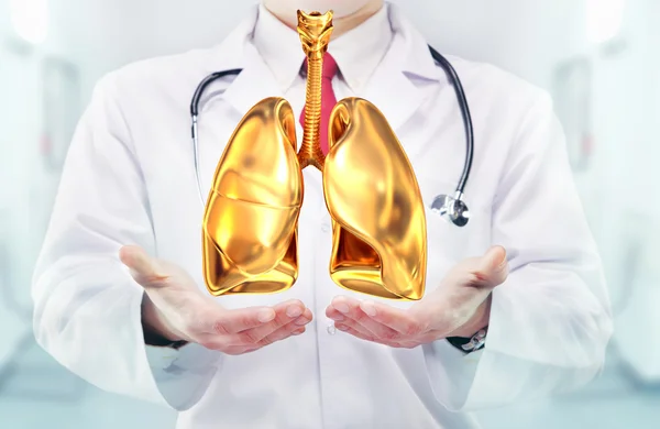 Médecin avec stéthoscope et poumons dorés sur les mains dans un hôpital — Photo