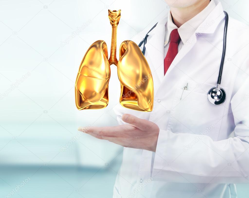 Doctor with stethoscope and golden lungs on the  hands in a hospital