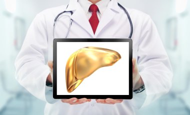 Doktor stetoskop ve bir hastanede ellerinde altın karaciğer ile