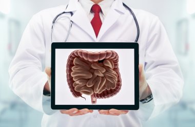 Doctor with stethoscope in a hospital. Digestive system on the tablet clipart