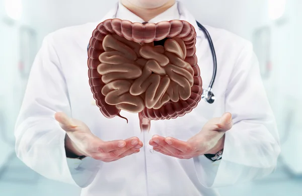 Doktor stetoskop ve sindirim sistemi üzerinde bir hastane elinde