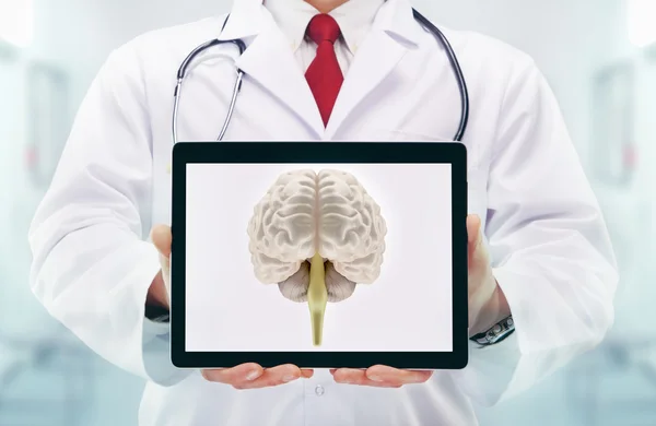 Doctor with stethoscope in a hospital. Brain on the tablet . — Stock Photo, Image