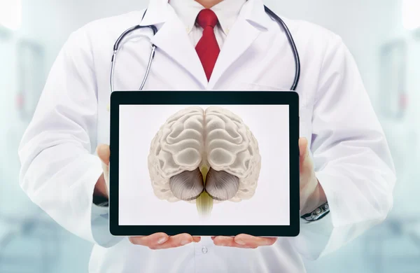 Doctor with stethoscope in a hospital. Brain on the tablet . — Stock Photo, Image
