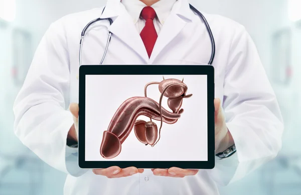 Arzt mit Stethoskop in einem Krankenhaus. Penis auf dem Tablet — Stockfoto