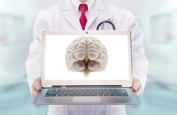 Docteur avec stéthoscope à l'hôpital. Cerveau sur le moniteur d'ordinateur portable — Photo