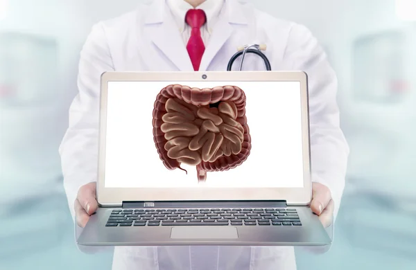 Arzt mit Stethoskop in einem Krankenhaus. Verdauungssystem auf dem Laptop-Bildschirm — Stockfoto