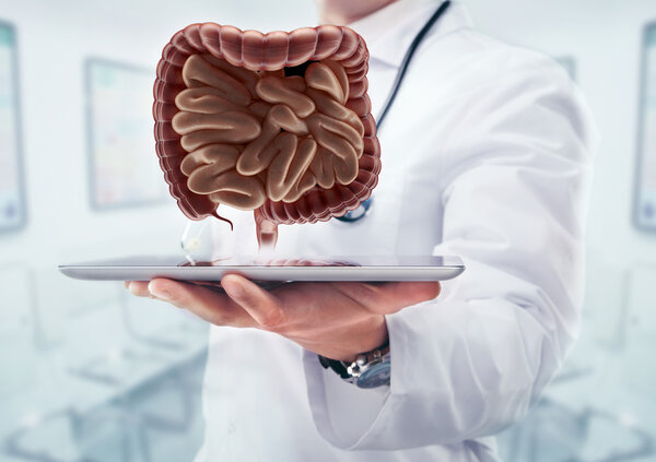 Doctor with stethoscope and digestive systemon the tablet in the hands in hospital.