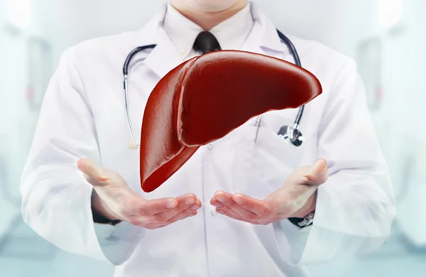 7 Most Common Diseases That Damage Your Liver and Prevention