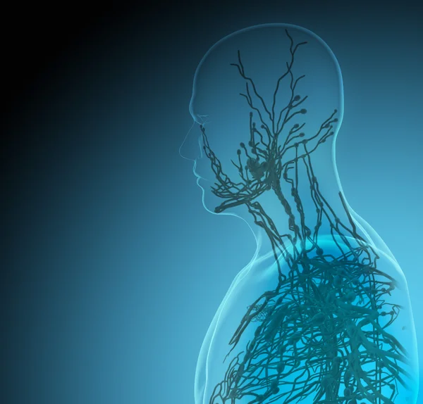 Het menselijk lichaam (organen) door x-stralen op blauwe achtergrond — Stockfoto