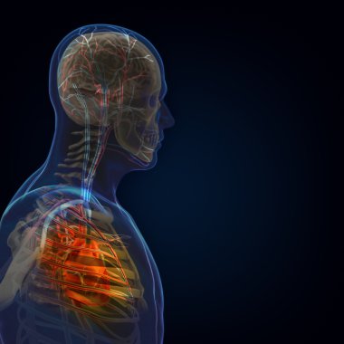 İnsan vücudunda (organ) x-ışınları tarafından siyah arka plan
