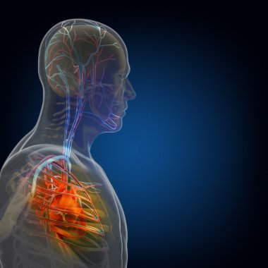 İnsan vücudunda (organ) x-ışınları tarafından siyah arka plan