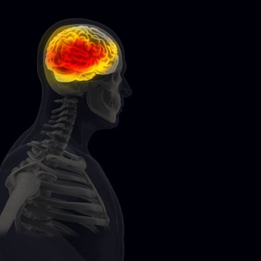 İnsan vücudunda (organ) x-ışınları tarafından siyah arka plan
