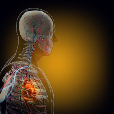İnsan vücudunda (organ) x-ışınları tarafından siyah arka plan