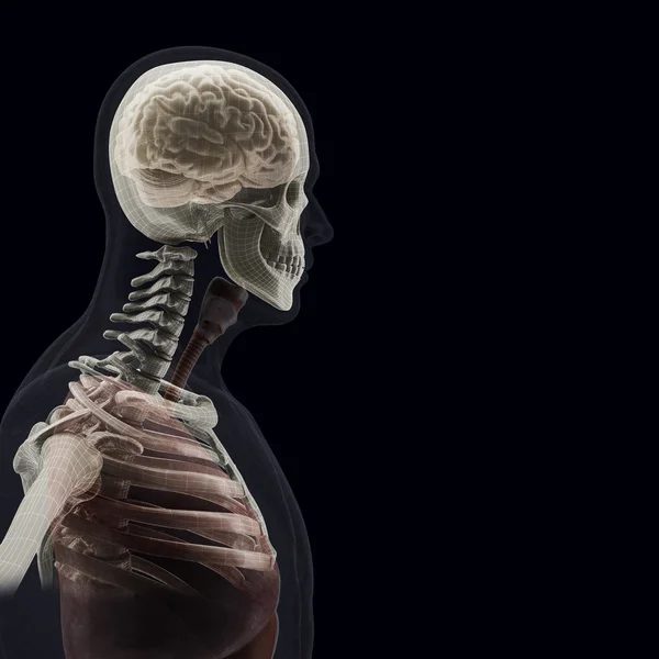 Le corps humain (organes) par rayons X sur fond noir — Photo
