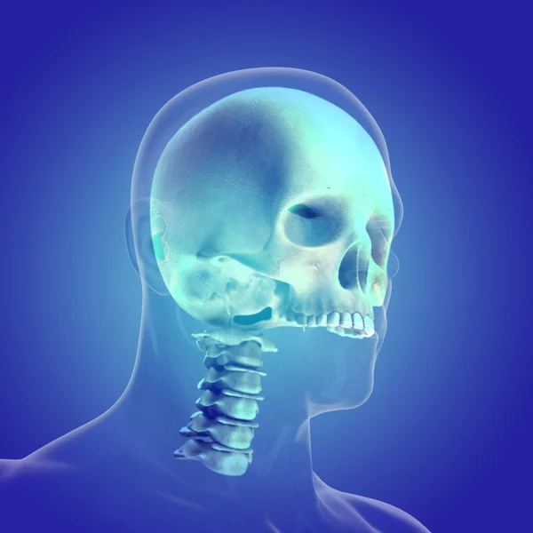 İnsan vücudunda (organ) x-ışınları tarafından mavi arka plan — Stok fotoğraf
