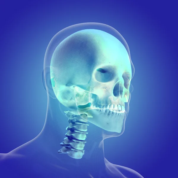 Ciała ludzkiego (organów) przez promieniowanie rentgenowskie, na niebieskim tle — Zdjęcie stockowe
