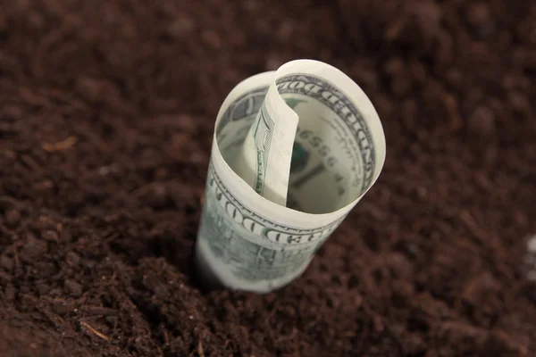 Money in the ground — Stock Photo, Image