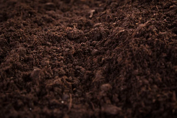 Soil or dirt section isolated on white background — Stock Photo, Image