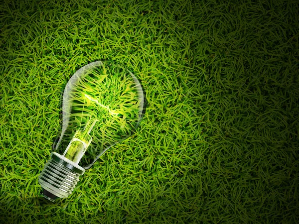 녹색 잔디에 에너지 절약 램프 — 스톡 사진
