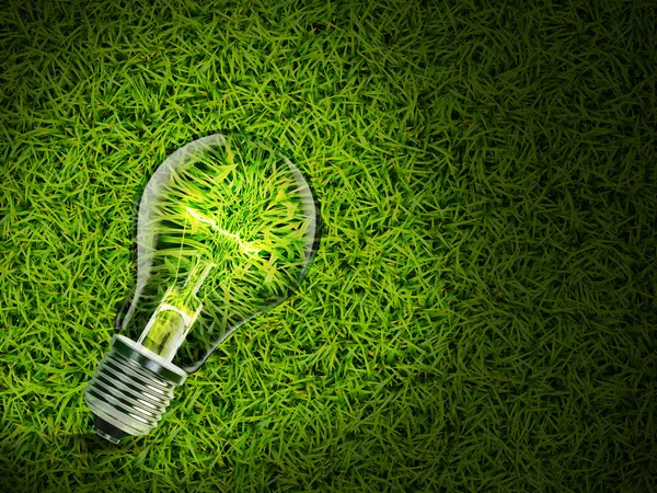 enerji tasarrufu lambası yeşil çimen