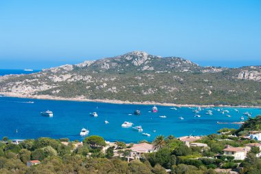 Yatların defne. Porto cervo İtalya