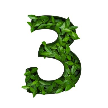 Beyaz arkaplanda kesilen yeşil yapraklardan hacimsel figür.