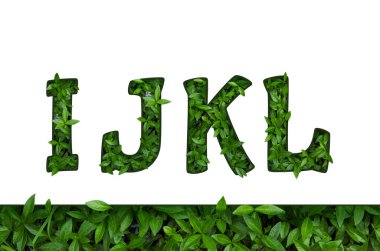 Harf şeklinde kağıt kesilmiş gerçek canlı çiçeklerden yapılmış çiçek yazı tipi alfabesi. İlkbahar ve yaz aylarındaki eşsiz dekorasyonunuz için muhteşem flora fontu koleksiyonu.