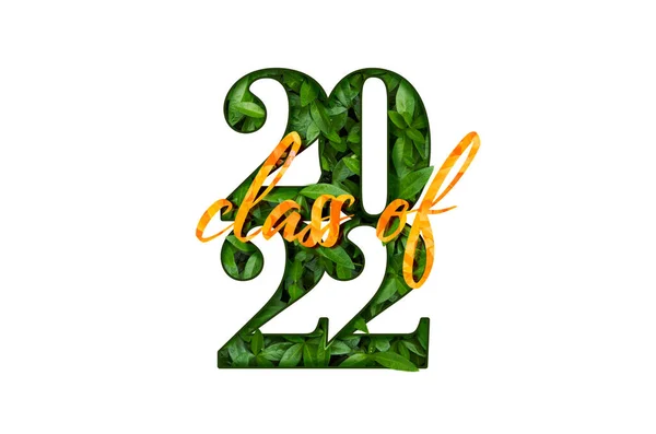 Klasa 2022. Gratulacje baner stopniowanie z liczbami elementów zielonych liści projektu. — Zdjęcie stockowe