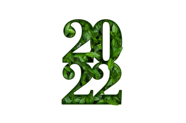Klasa 2022. Gratulacje baner stopniowanie z liczbami elementów zielonych liści projektu. — Zdjęcie stockowe
