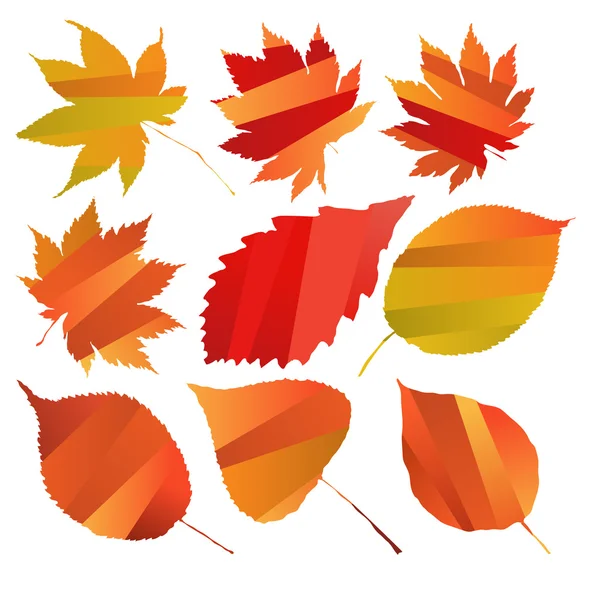 Autumn. vector leaves. — Stock Vector