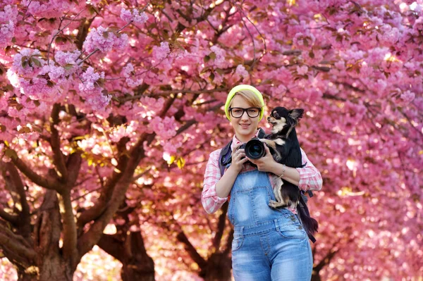 Portrait of a photographer with her chihuahua dog