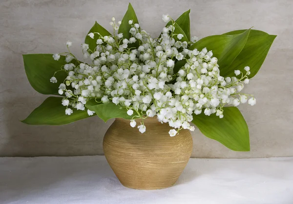 Liljekonvaljer. Bukett. Vasor keramiska. Still life. — Stockfoto