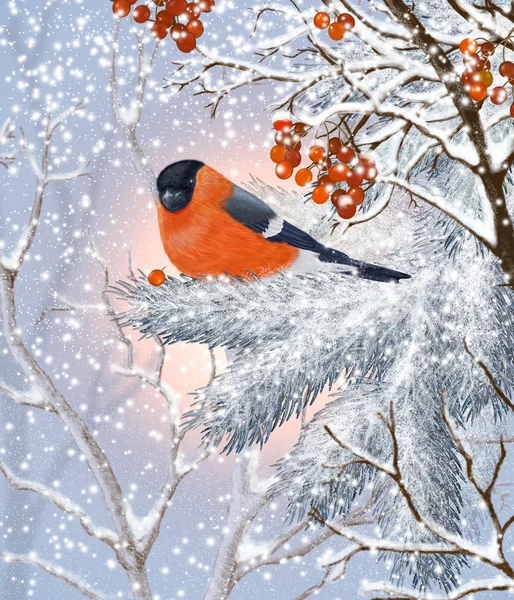 Aves Floresta de Inverno. — Fotografia de Stock