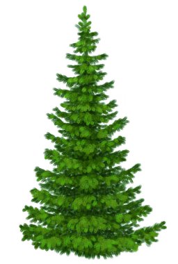 Noel ağacı. Elle çizilmiş. Yeşil kabarık Noel ağacı. Noel 'in sembolü. Ölümsüzlüğü, gençliği, cesareti ve uzun ömrü temsil eder. Noel zamanı. Yeni yıl. Beyaz arka planda Noel ağacı.