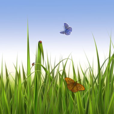 Yeşil çim. Böcekler Butterflies.Illustration