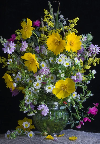 Wildblumen. Strauß. Stillleben. — Stockfoto