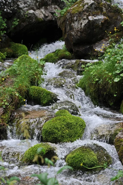 山の川は岩や草の上を流れる — ストック写真