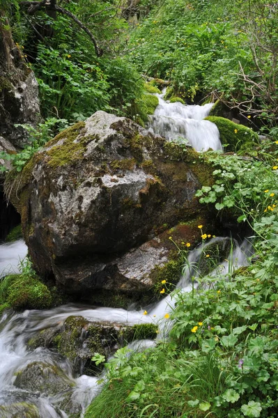 Mountain River Cascades Rocks Grass — Stock Photo, Image