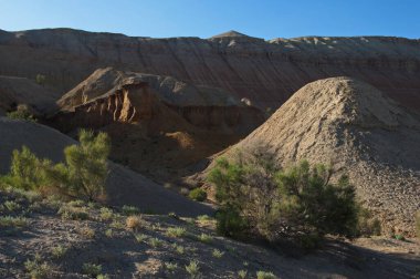 Almaty, Kazakistan - 06.24.2013: Kumlu ve kayalık bir geçitte çalılar ve küçük ağaçlar. Park Altyn Emel.