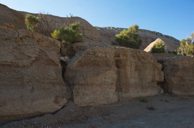 Almaty, Kazakistan - 06.24.2013: Kumlu ve kayalık bir geçitte çalılar ve küçük ağaçlar. Park Altyn Emel.