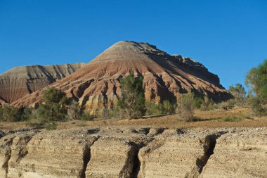 Almaty, Kazakistan - 06.24.2013: Kumlu ve kayalık bir geçitte çalılar ve küçük ağaçlar. Park Altyn Emel.