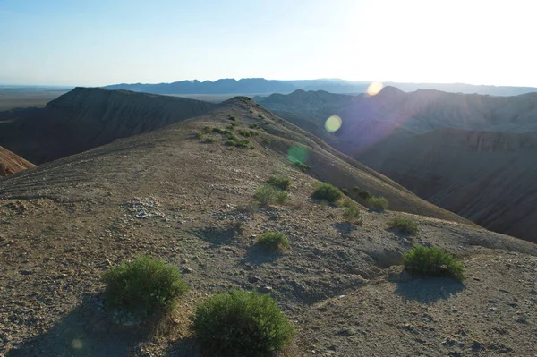 Almaty, Kazakistan - 06.24.2013: Tepedeki çalılar güneş patlaması ışığında.